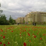 Primavera nel Parco delle Cave