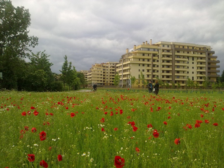 Primavera nel Parco delle Cave