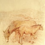 Alpeggio in alta Valseriana. Pastelli (2016)